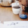penyeduh sedang menghirup aroma kopi dari cupping bowls